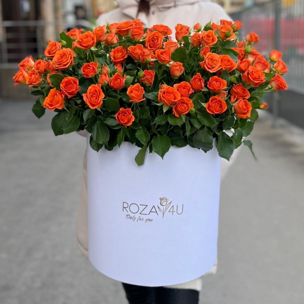 25 кустовых роз Чарминг Бейб в коробке