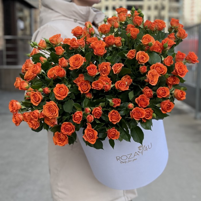 25 кустовых роз Чарминг Бейб в коробке