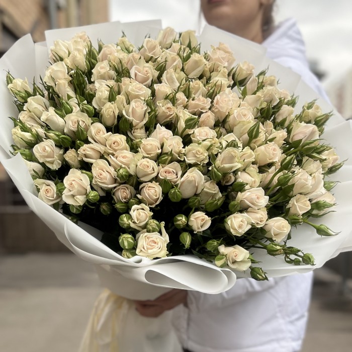 25 кустовых роз Роял Порцелина 70 см