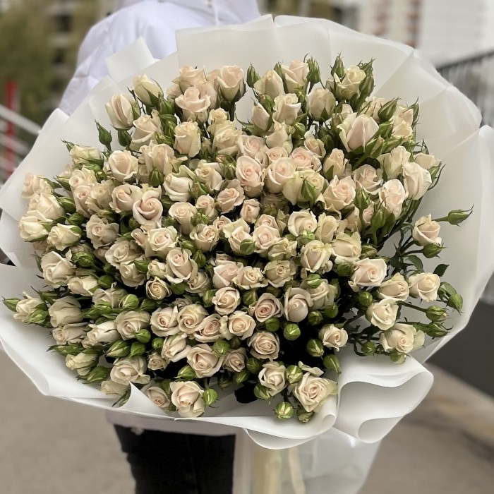 25 кустовых роз Роял Порцелина 70 см