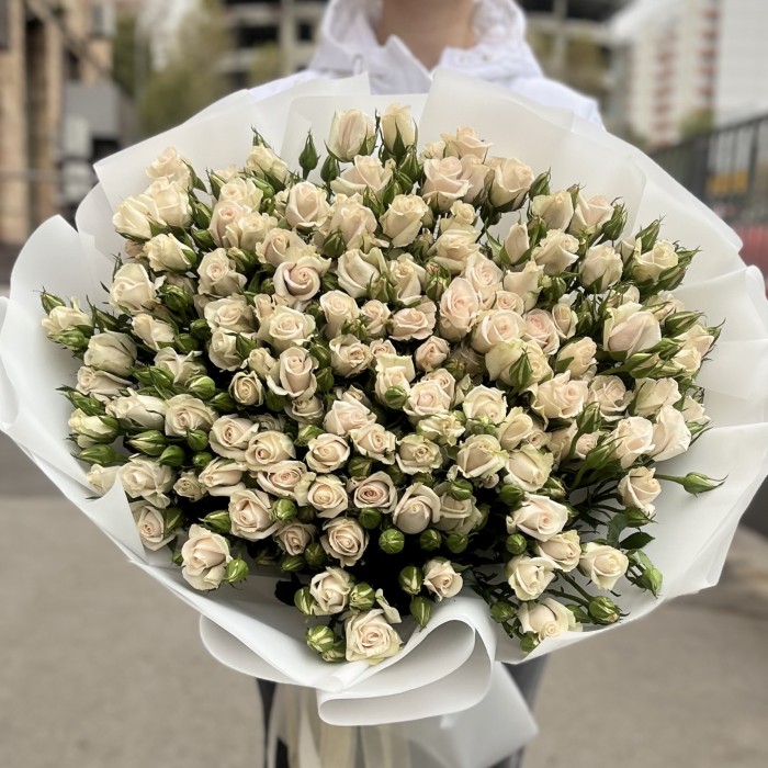 25 кустовых роз Роял Порцелина 70 см