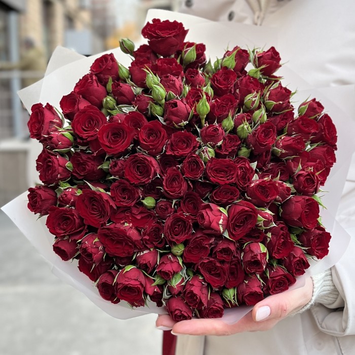 25 кустовых роз Велвет Блоссом 50 см
