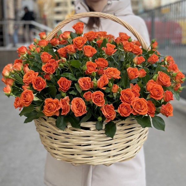25 оранжевых кустовых роз Чарминг Бейб в корзине