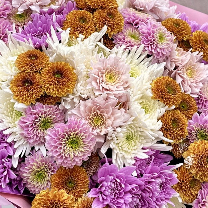 25 осенних хризантем Микс