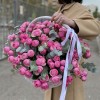 25 пионовидных кустовых роз Сильва Пинк в корзине