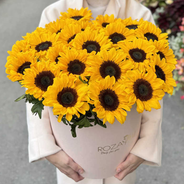 25 подсолнухов в коробке