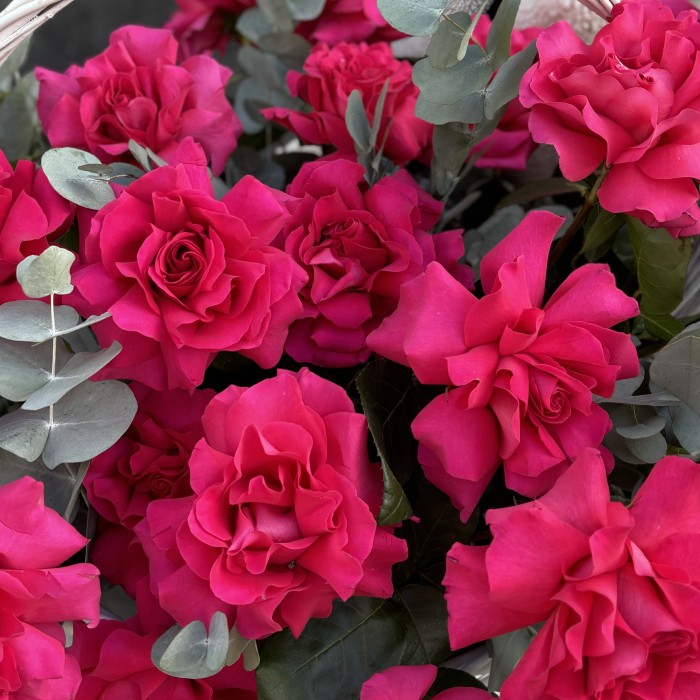 25 пышных роз Пинк Флойд с эвкалиптом в корзине