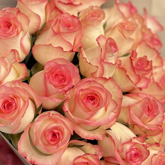 25 роз Джумилия 60 см