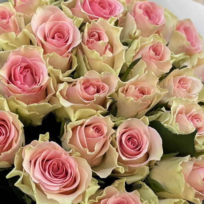 25 нежно-розовых роз Топ-Гир 50 см