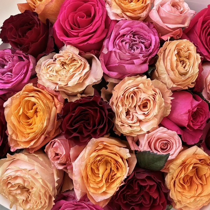 25 роз праздничный MIX