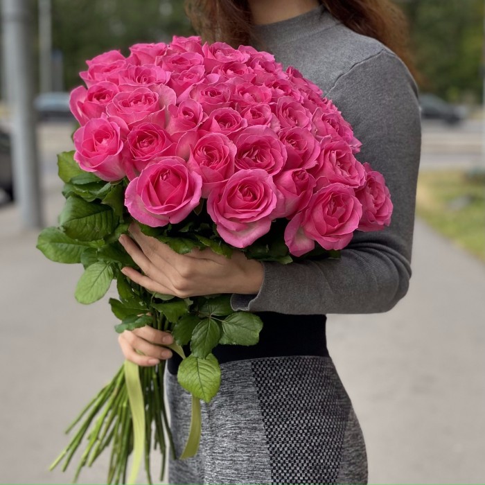 Роза Ревиваль 60 см