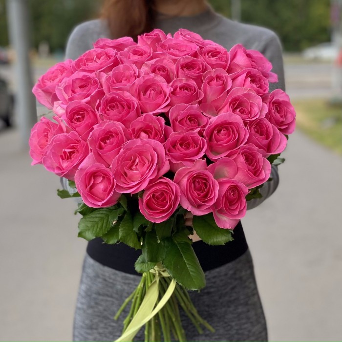 Роза Ревиваль 60 см