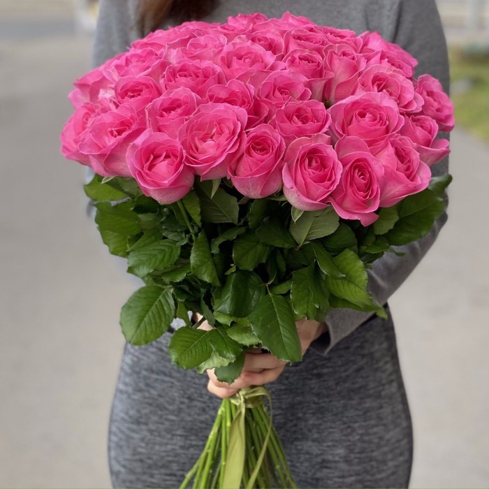 Роза Ревиваль 60 см