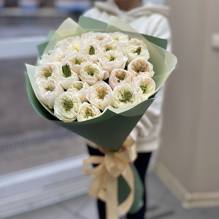 25 роз Тинкербелл