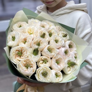 25 роз Тинкербелл