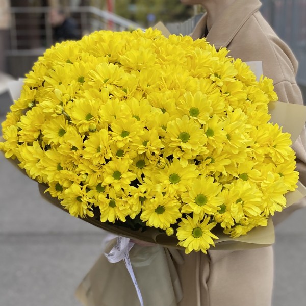 25 желтых кустовых хризантем Бакарди