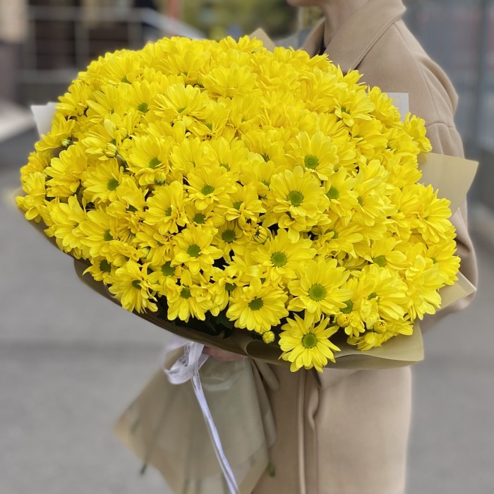 25 желтых кустовых хризантем Бакарди