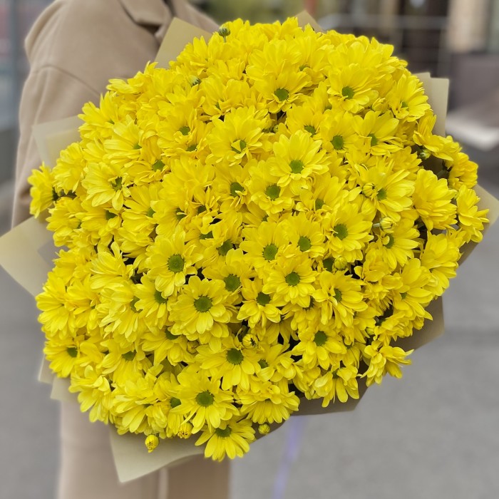 25 желтых кустовых хризантем Бакарди