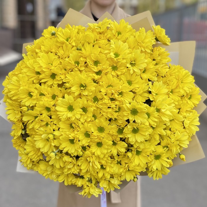25 желтых кустовых хризантем Бакарди