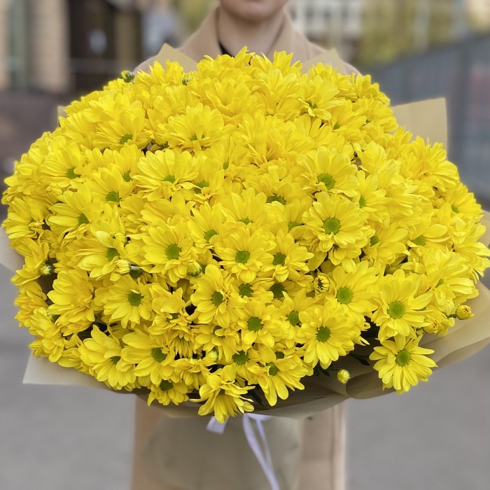 25 желтых кустовых хризантем Бакарди