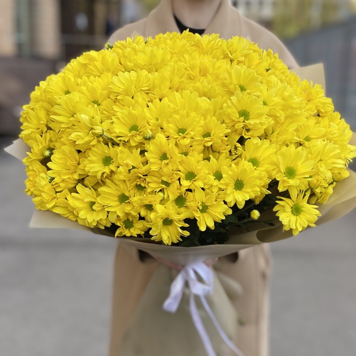 25 желтых кустовых хризантем Бакарди