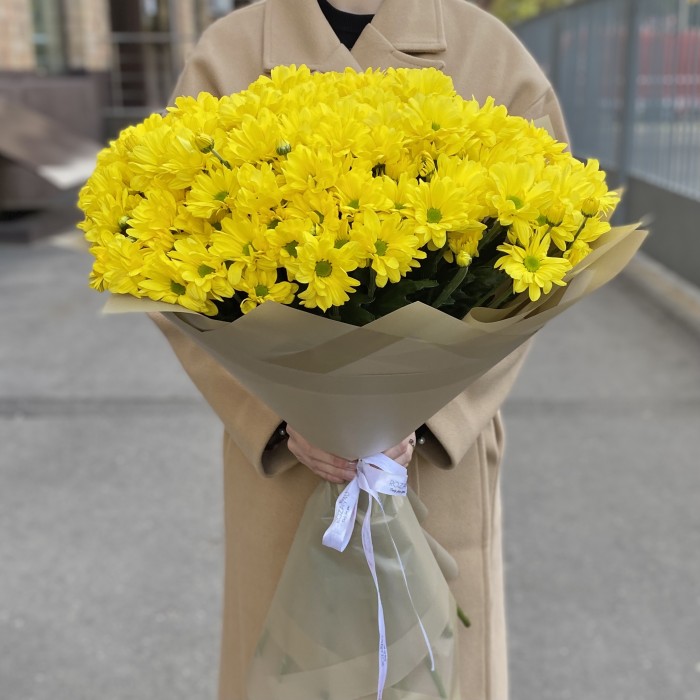 25 желтых кустовых хризантем Бакарди