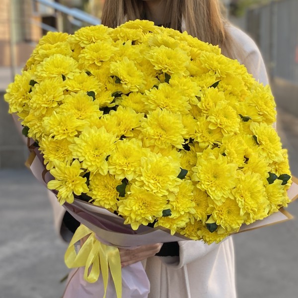 25 желтых кустовых хризантем Балтика