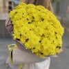 25 желтых кустовых хризантем Балтика