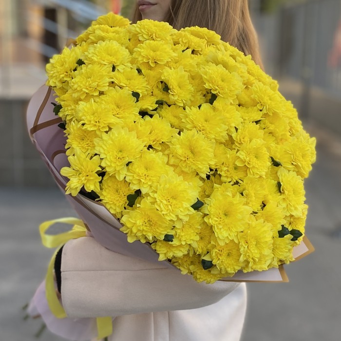 25 желтых кустовых хризантем Балтика