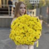 25 желтых кустовых хризантем Балтика