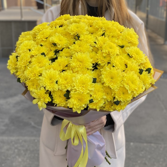 25 желтых кустовых хризантем Балтика