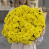 25 желтых кустовых хризантем Балтика