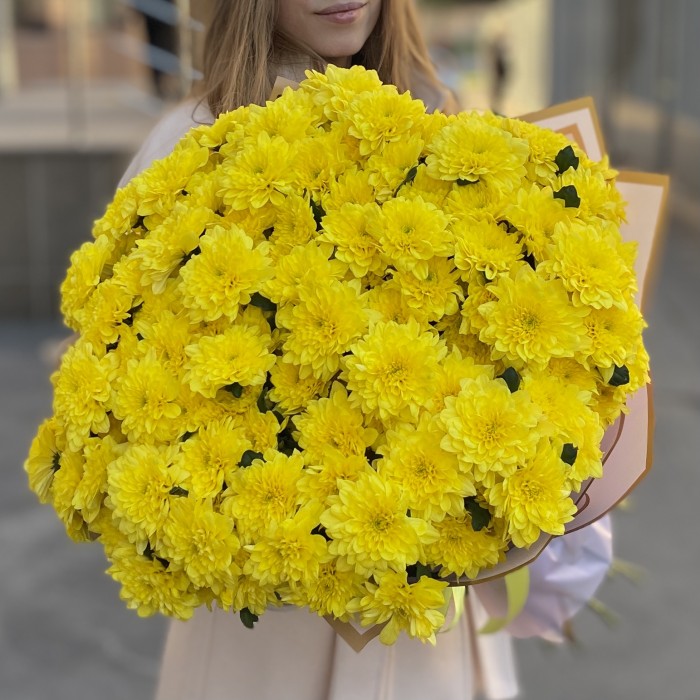 25 желтых кустовых хризантем Балтика