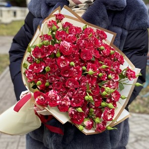 25 Бело-малиновых кустовых роз Твинки блоссом 40см