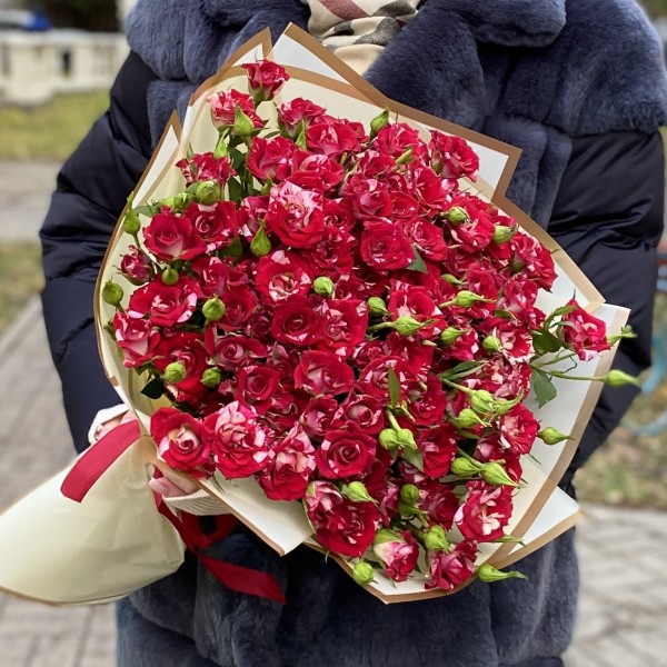 25 Бело-малиновых кустовых роз Твинки блоссом 40см