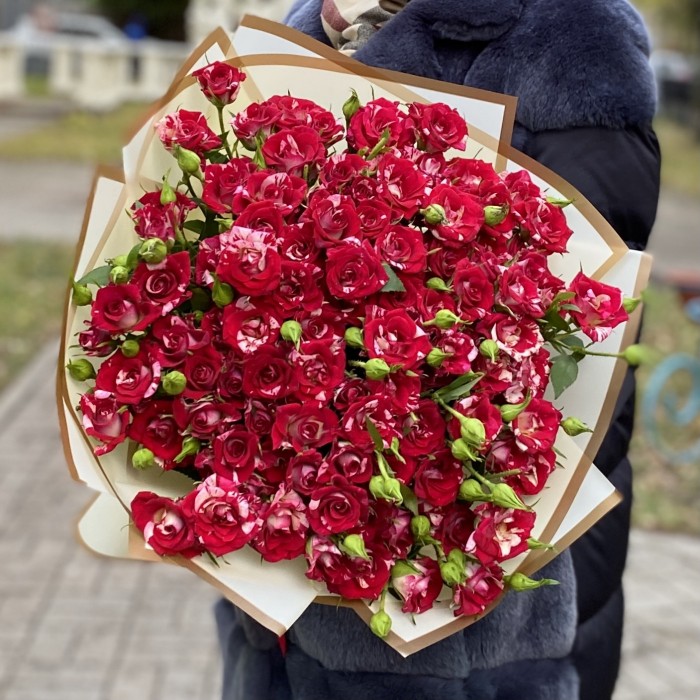 25 бело-малиновых кустовых роз Твинки блоссом 50 см