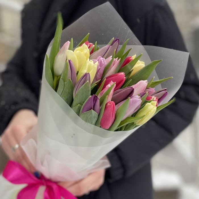 25 тюльпанов микс пастельных оттенков