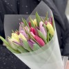 25 тюльпанов микс пастельных оттенков