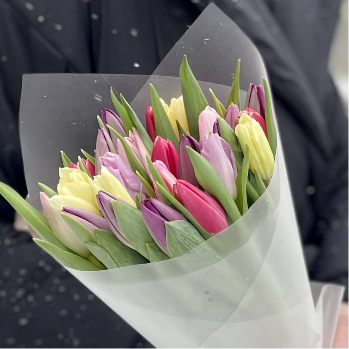 25 тюльпанов микс пастельных оттенков