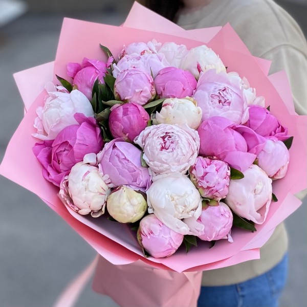 25 ароматных пионов в упаковке