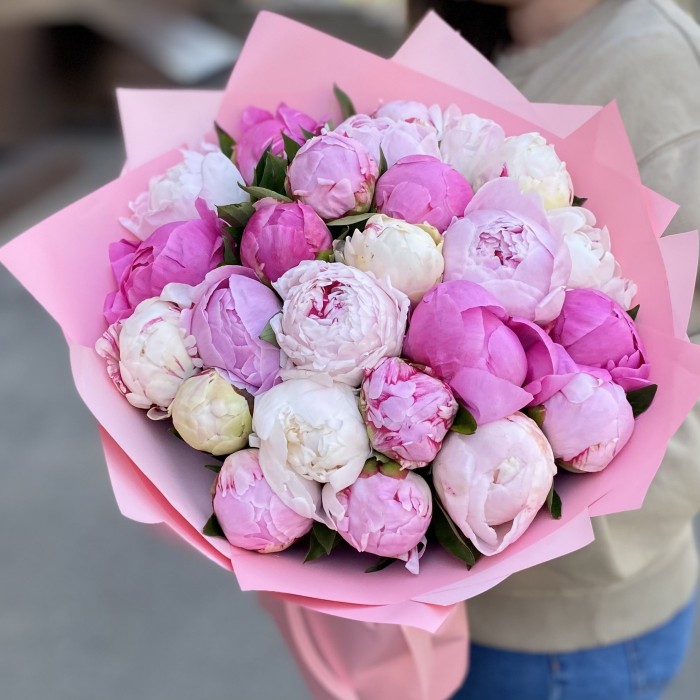 25 ароматных пионов в упаковке