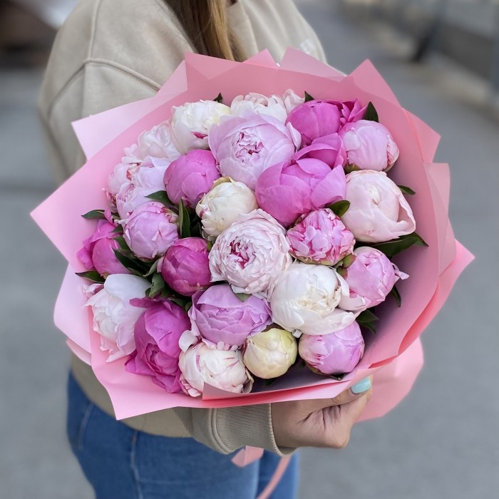 25 ароматных пионов в упаковке