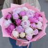 25 ароматных пионов в упаковке