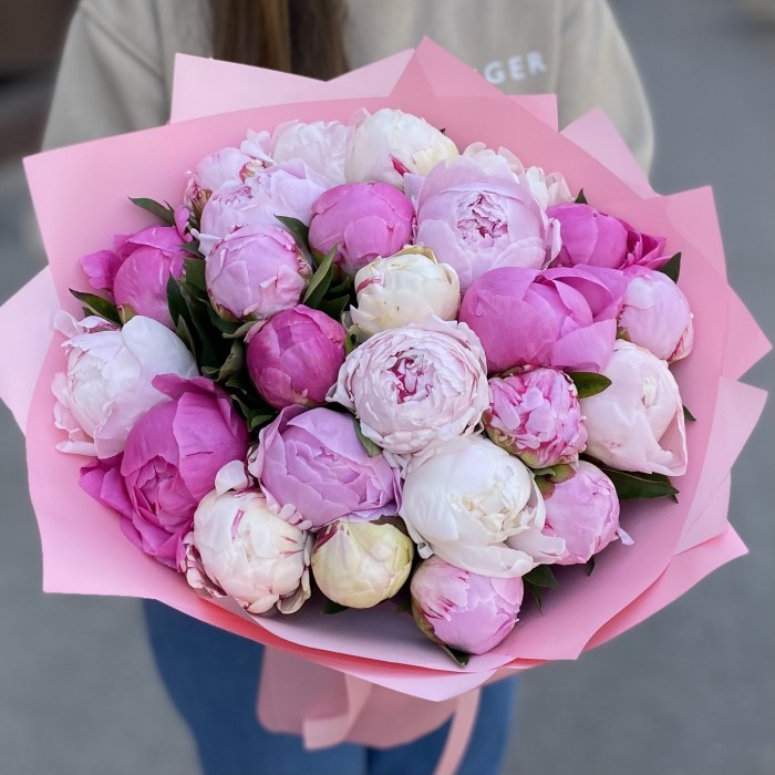 25 ароматных пионов в упаковке