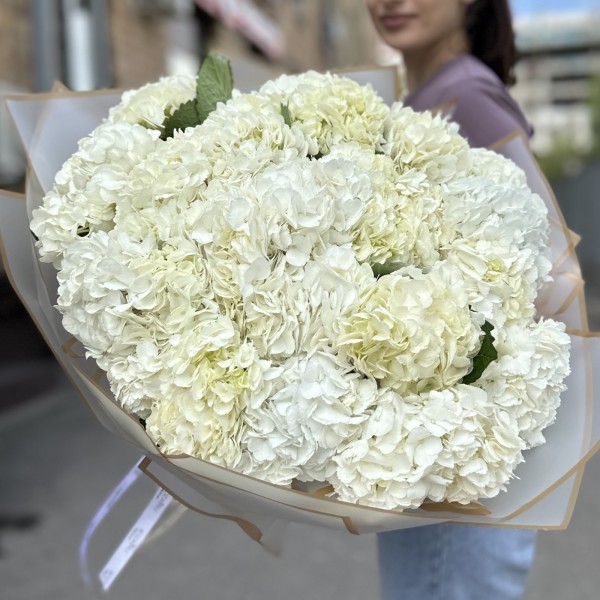 25 белых гортензий