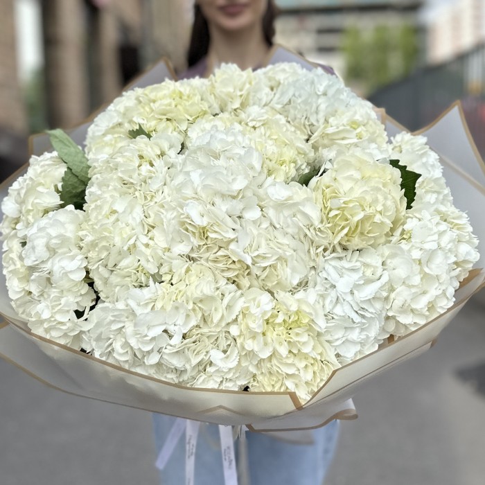 25 белых гортензий