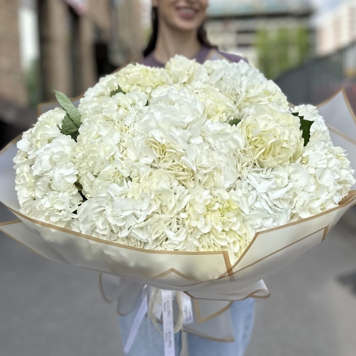 25 белых гортензий