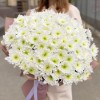 25 белых хризантем Коммандер
