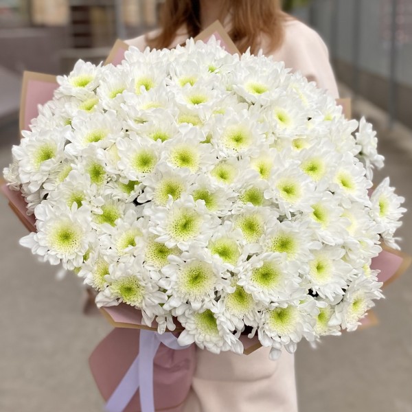 25 белых хризантем Коммандер