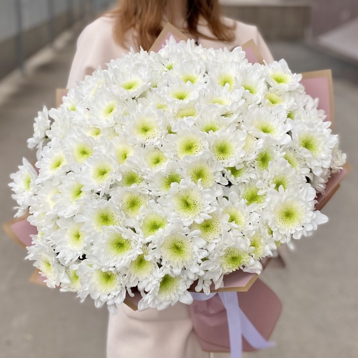 25 белых хризантем Коммандер
